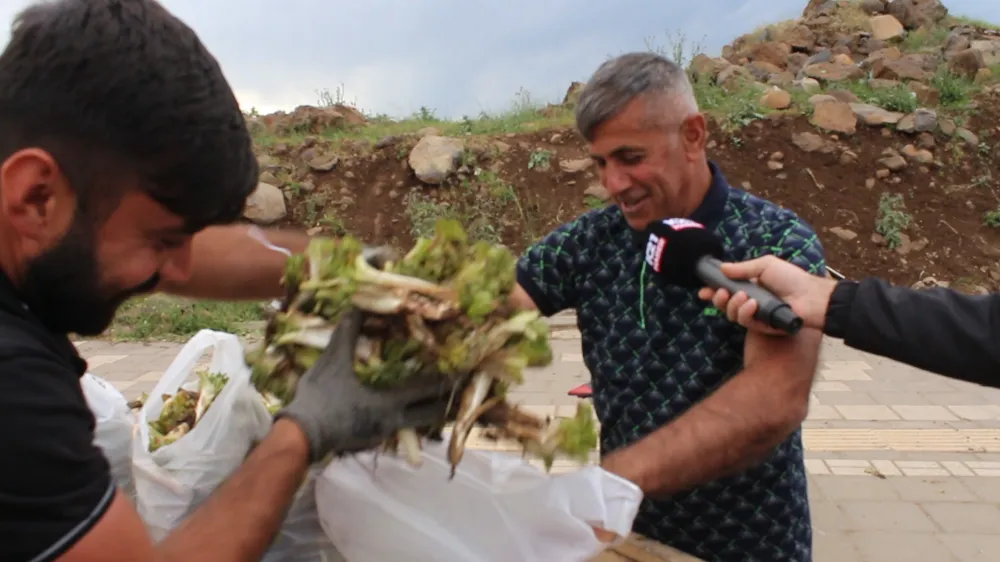 Diyarbakır
