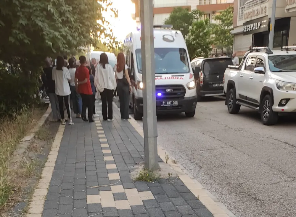 Diyarbakır